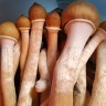 Купить споровый отпечаток гриба Cubensis Tapalpa