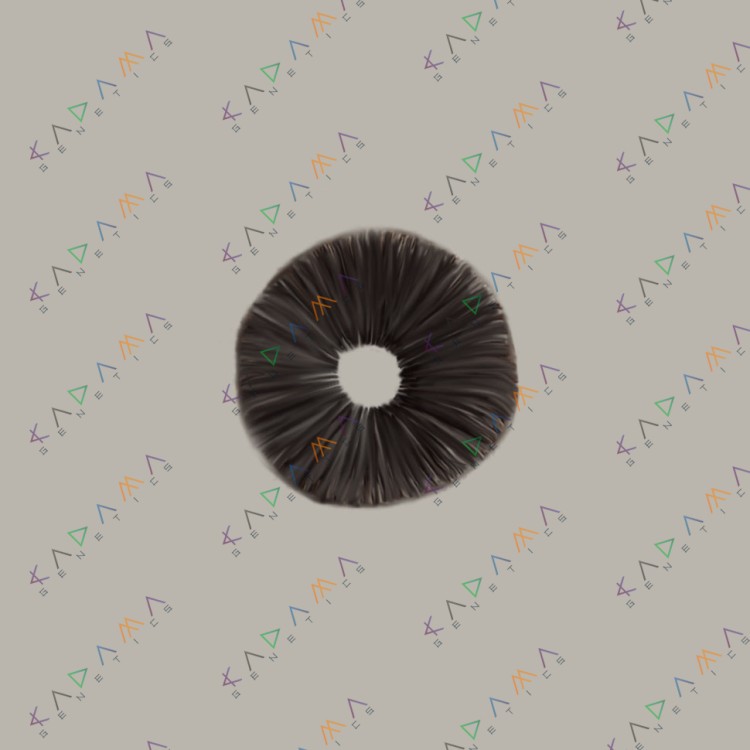 Cubensis Tasmanian