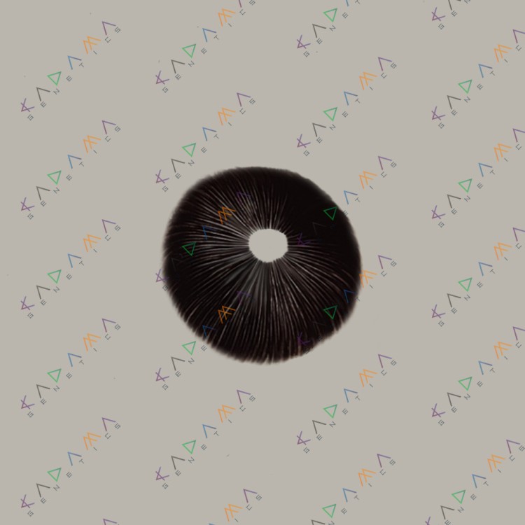 Cubensis Mazatapec