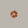 Споровый отпечаток Cubensis Colombian Rust